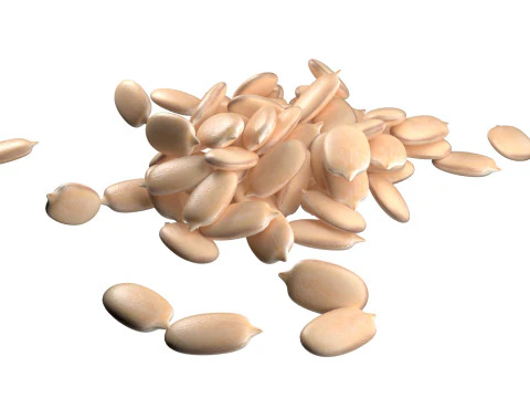 Watermelon seed Pile 3D Model