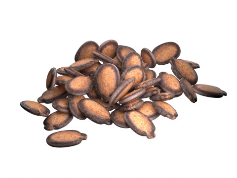 Watermelon seed Pile Modèle 3D