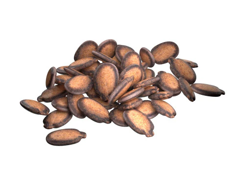 Watermelon seed Pile 3D Model