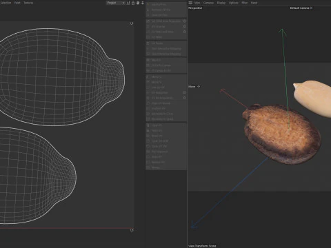 Watermelon seed Pile 3D Model