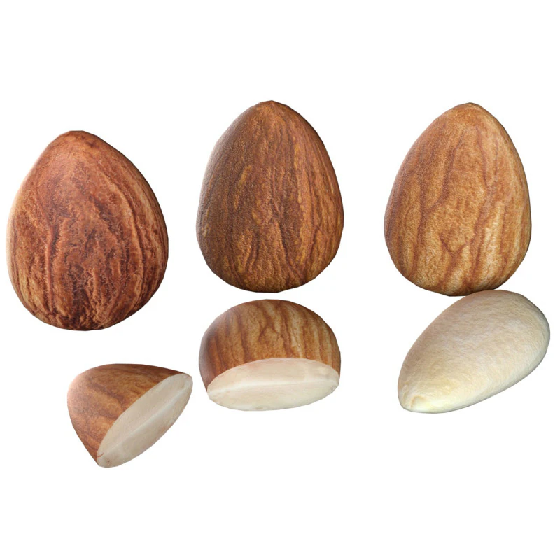 Mandorla Modello 3D .c4d .max .obj .3ds .fbx .stl .blend 