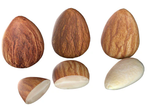 बादाम 3D मॉडल