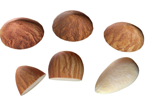 Almond Modelo 3D