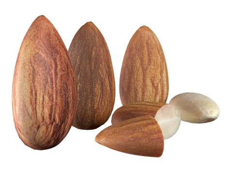 Almond Modelo 3D