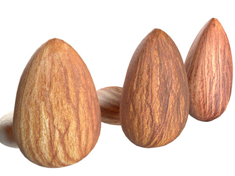 Almond Modelo 3D