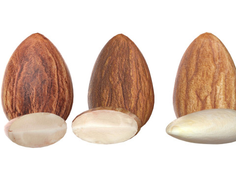 Almond Modelo 3D