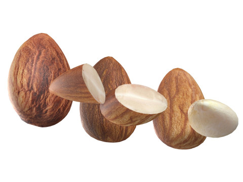 Almond Modelo 3D