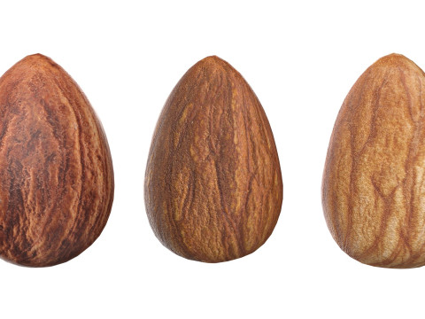 Almond Modelo 3D