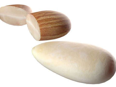 Almond Modelo 3D
