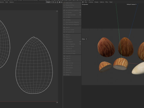 Almond Modelo 3D