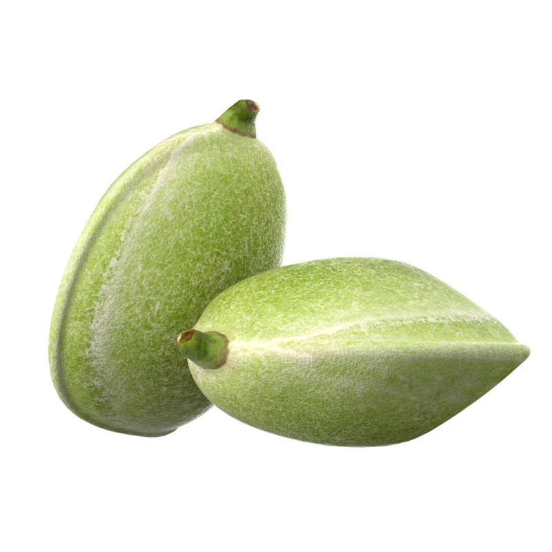 Almond green 3D Model .c4d .max .obj .3ds .fbx .stl .blend 