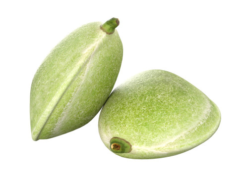 Almond green Modelo 3D