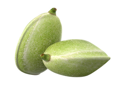 Almond green Modelo 3D