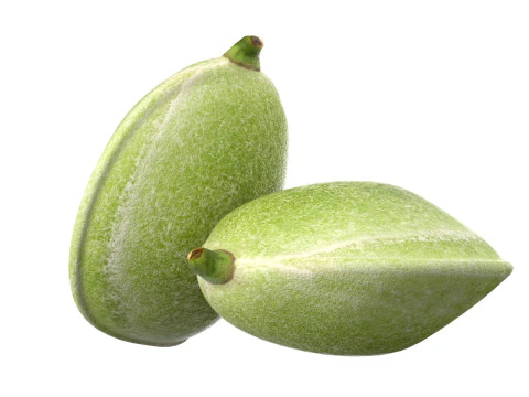 Almond green 3D Model