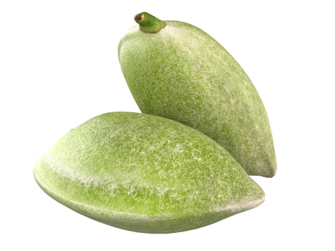 Almond green Modelo 3D