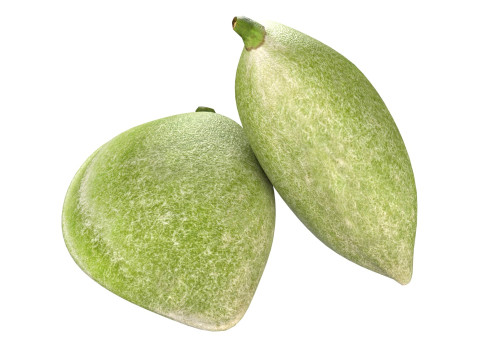 Almond green Modelo 3D