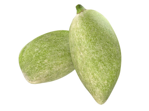 Almond green Modelo 3D
