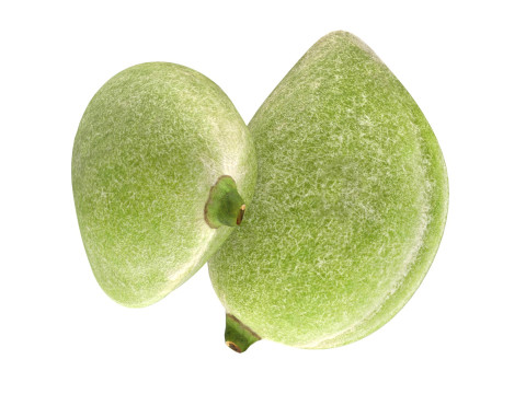 Almond green Modelo 3D