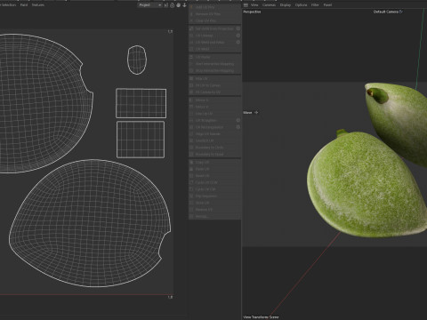Almond green Modelo 3D