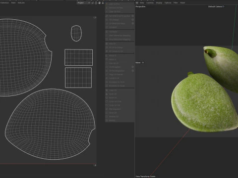 Almond green 3D Model