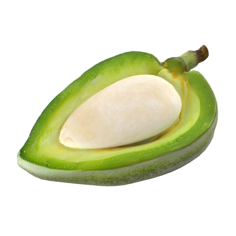 Almond green half Modelo 3D .c4d .max .obj .3ds .fbx .stl .blend