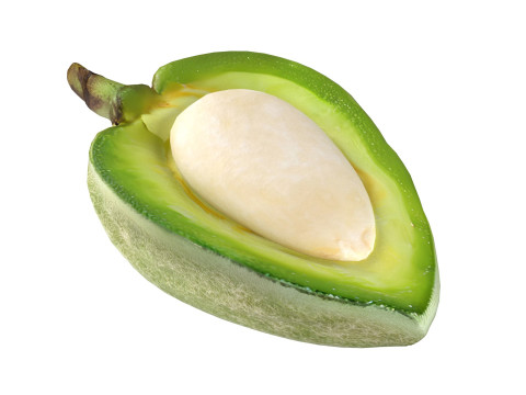 Almond green half Modelo 3D