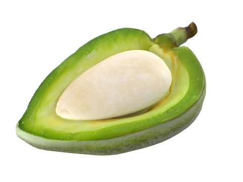 Almond green half Modelo 3D