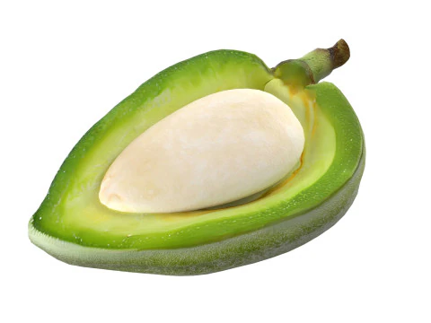 아몬드 그린 반 3D 모델