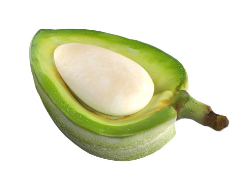 Almond green half Modelo 3D