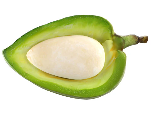 아몬드 그린 반 3D 모델