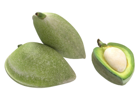 Almond green set Modèle 3D
