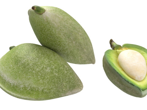 Almond green set 3D 模型