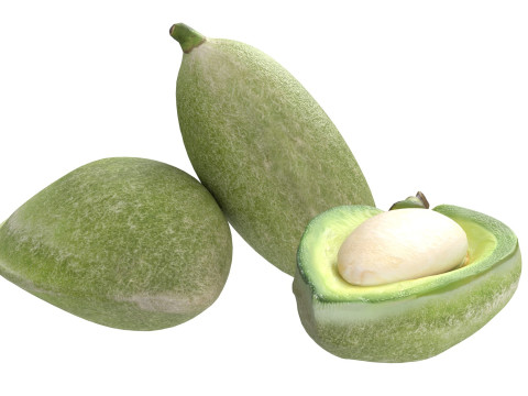 Almond green set 3D 模型