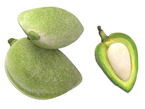 Almond green set 3D Model