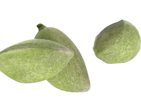 Almond green set 3D 模型