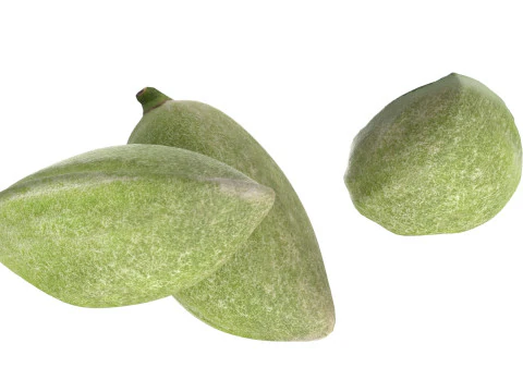 Almond green set 3D Model