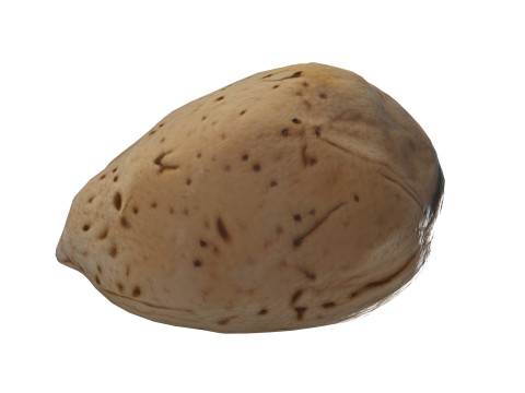Almond shell v1 3D 模型