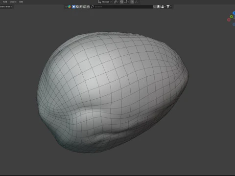 Almond shell v1 3D Model