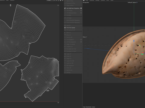 Almond shell v2 3D 模型