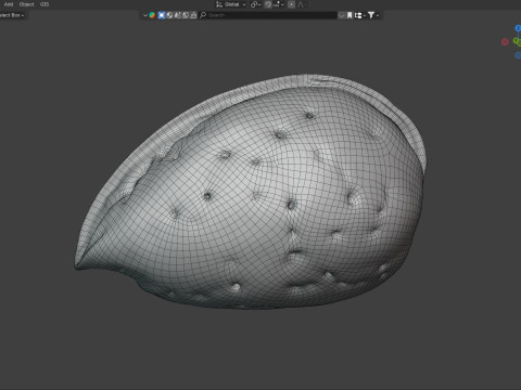 Almond shell v2 3D 模型