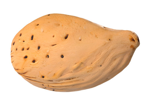 Almond shell v3 3D 모델