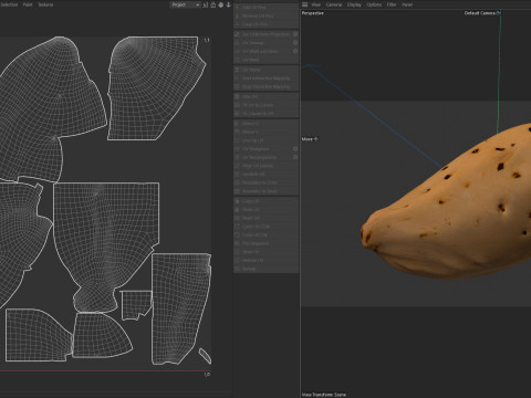 Almond shell v3 3D 모델