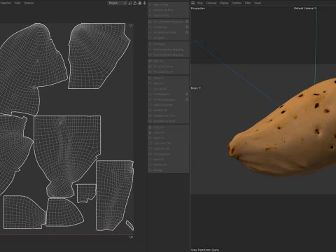 Almond shell v3 3D Model
