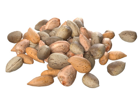 Almond shell pile Modèle 3D