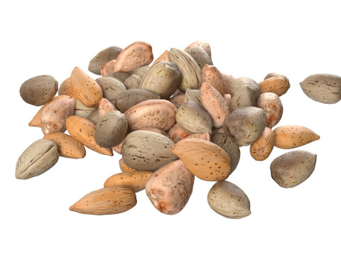 Almond shell pile 3D 模型
