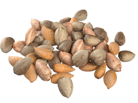 Almond shell pile 3D 模型