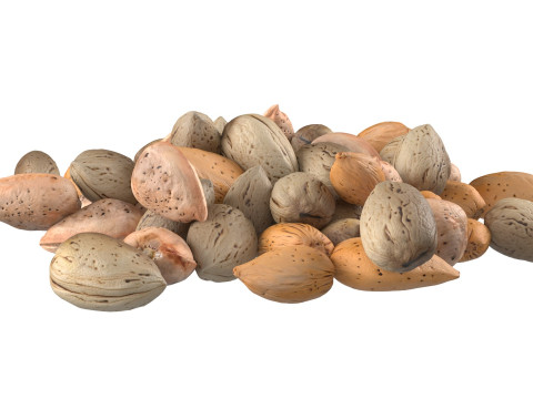 Almond shell pile 3D 模型