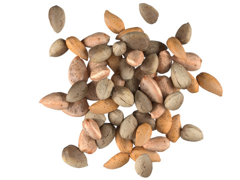 Almond shell pile 3D 模型