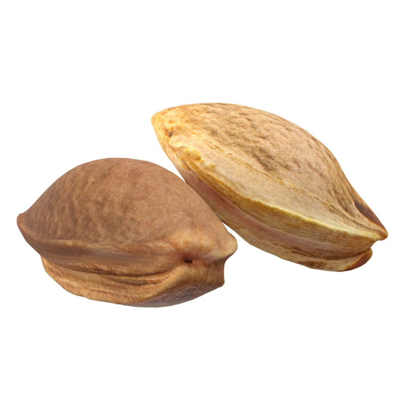 Apricot Kernels 3D Model .c4d .max .obj .3ds .fbx .stl .blend 
