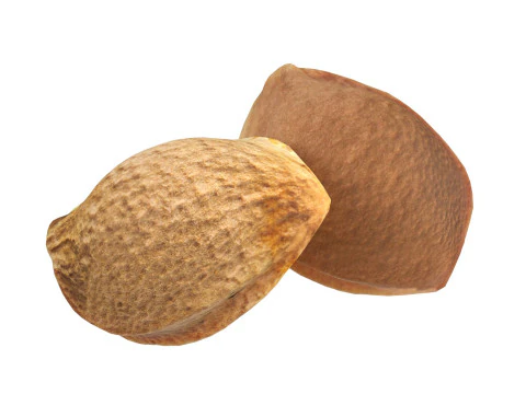 Apricot Kernels 3D Model